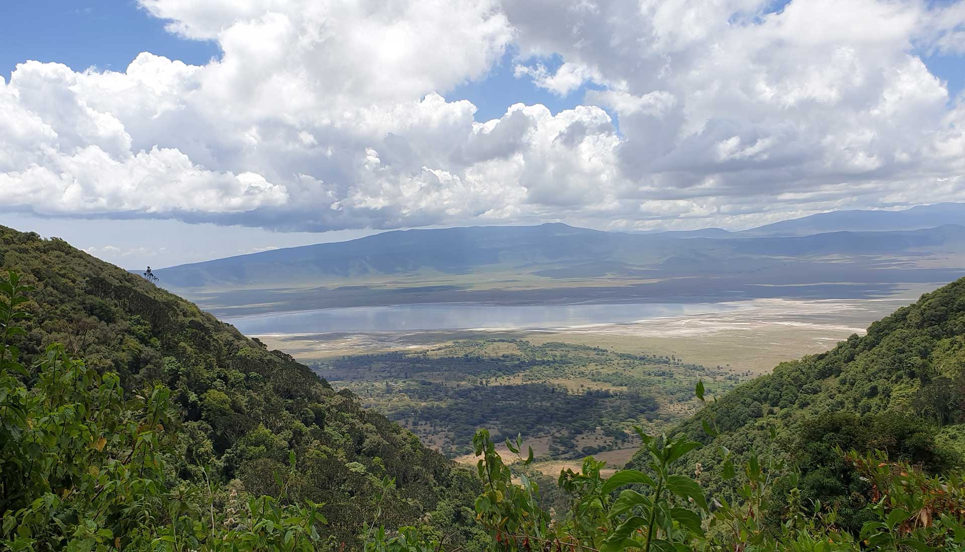 Ngorongoro Crater Day tour